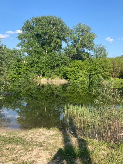 Участок 1,29 га (ИЖС)