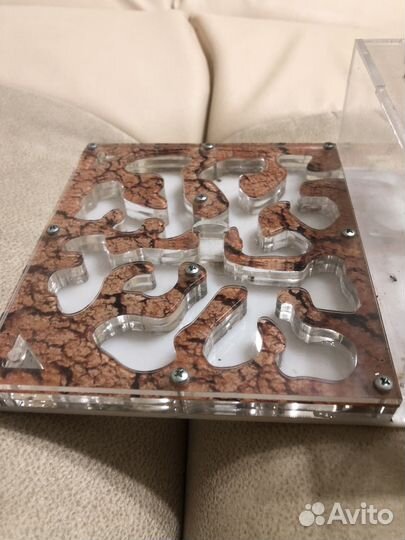 Муравьиная ферма без муравьев