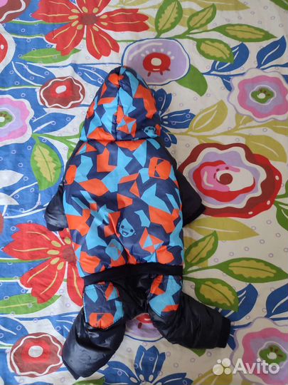 Одежда для собак