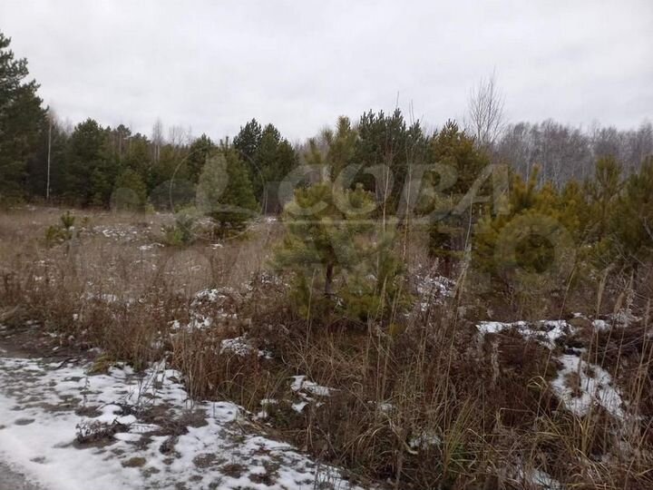 Участок 7 сот. (СНТ, ДНП)