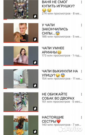 Видеограф YouTube shorts, Reels