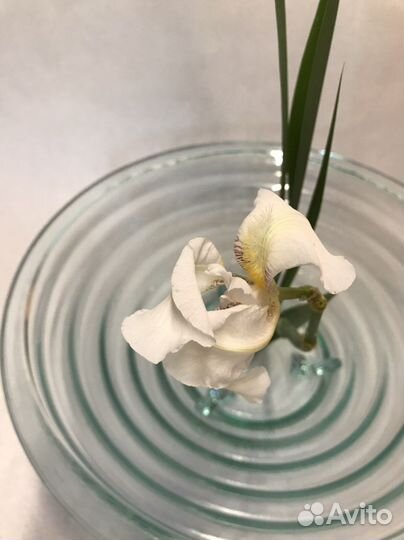 Ваза чаша стекло ручная работа