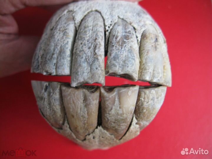 Неолит, каменный топор тесло