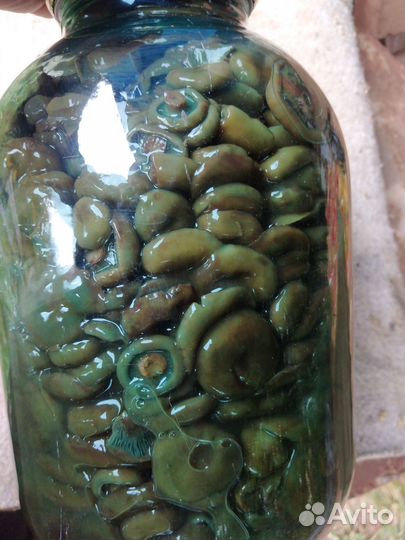 Рыжики