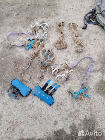 Конная амуниция бу