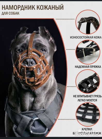 Намордник для собак