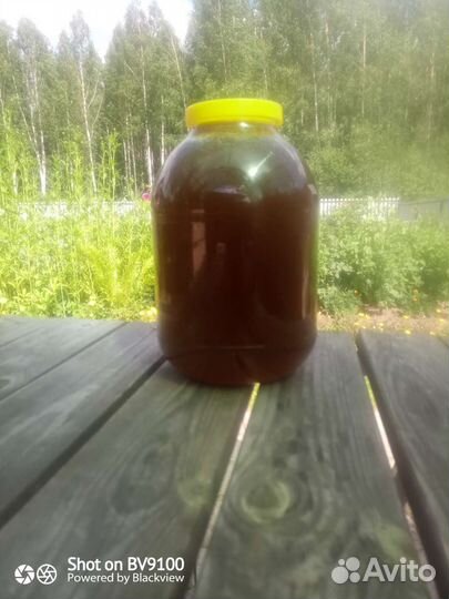 Перга медовая