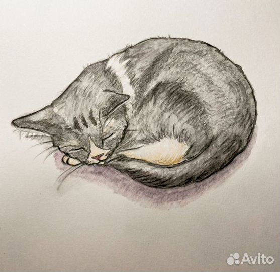 Рисую ваших питомцев