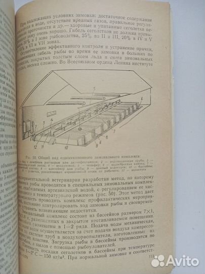 Основы ихтиологии и рыбоводства