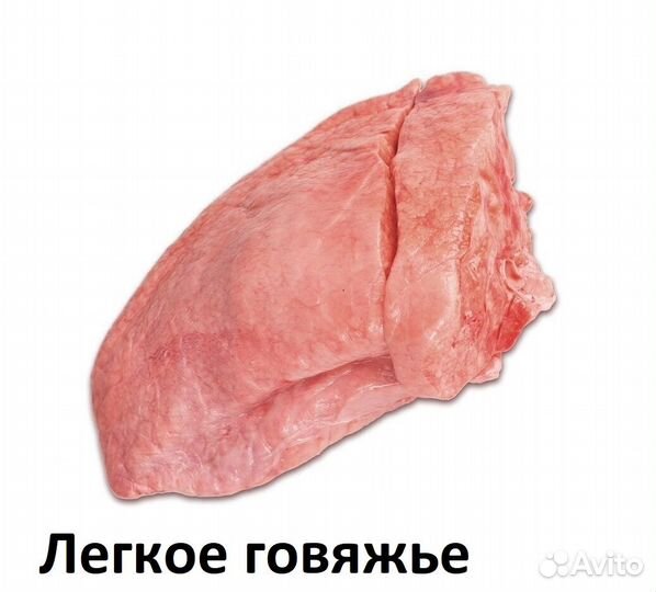 Мясо. Говядина. Почки. Вымя. Ноги. Рубец