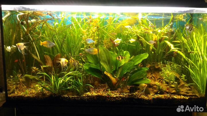 Удобрения микро макро железо калий