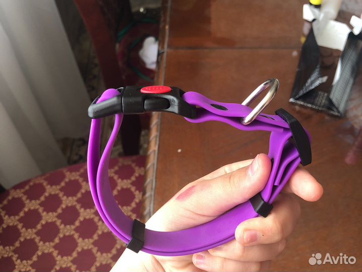 Ошейник для маленькой собаки