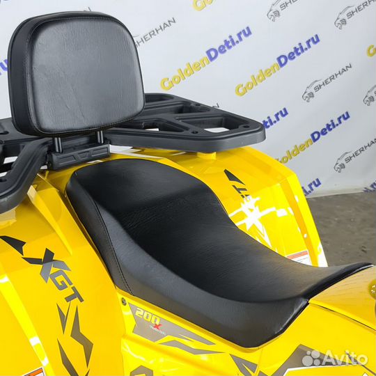 Квадроцикл MotoLand 200 wild track X (2023)