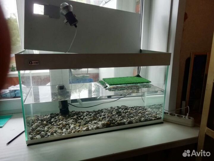 Аквариум на 100 литров