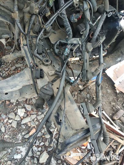 Проводка, Косса двигателя на audi a6 c5 AEB