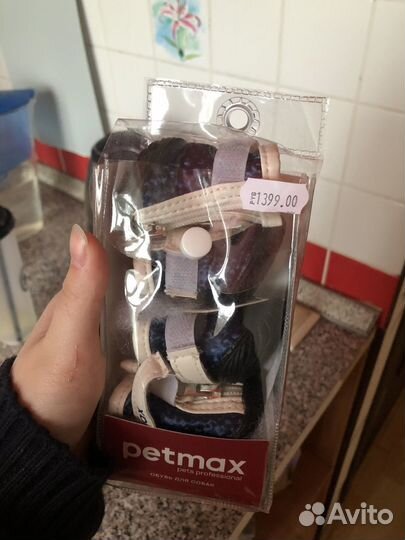 Ботинки для маленьких собак