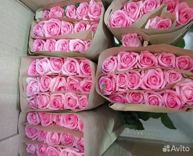 Розы оптом