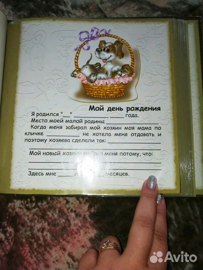 Фотоальбом любимца