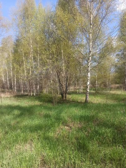 Участок 1,5 га (СНТ, ДНП)