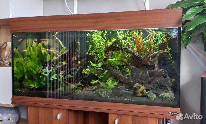 Аквариум с тумбой Ferplast dubai 190 литров