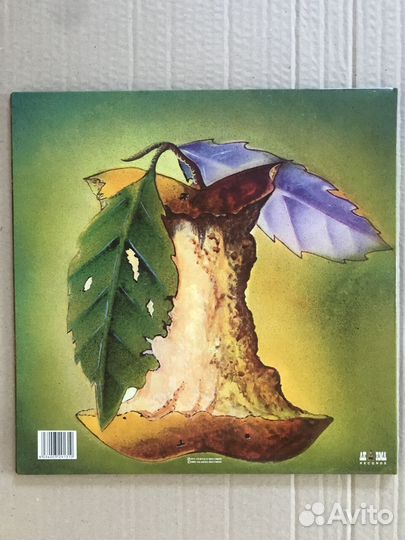 Виниловые пластинки Catapilla