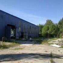 Лот продается. Аукцион торги. Проба 875 с головой. Лот продается. Молоток аукцион.