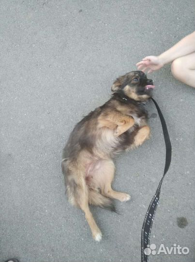 Маленькая Эля