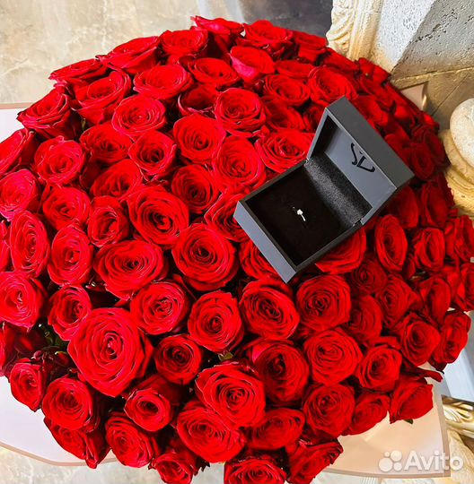 Роза, гипсофила, букеты, цветы с доставкой