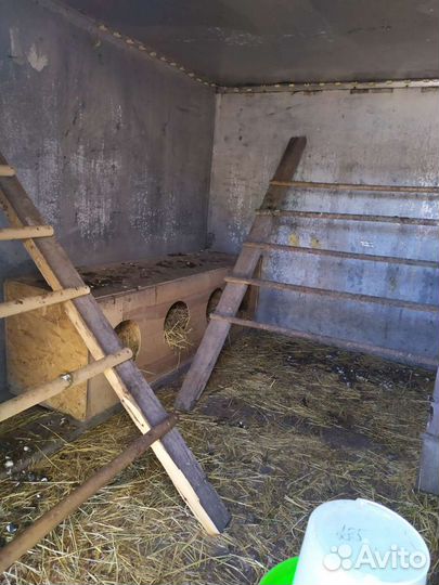 Курятник теплый