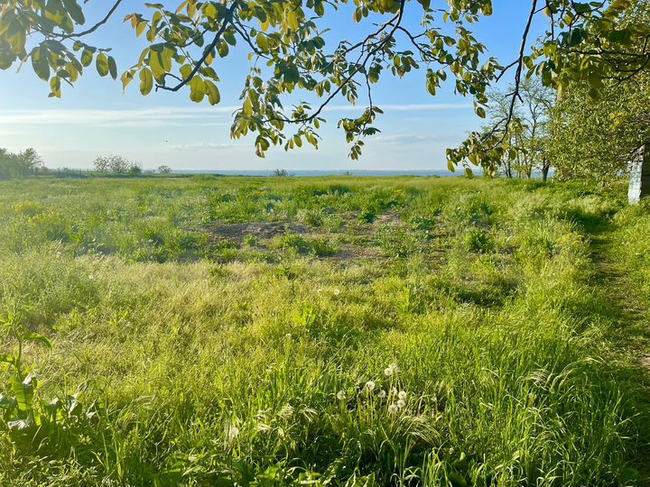 Участок 44,3 сот. (ИЖС)