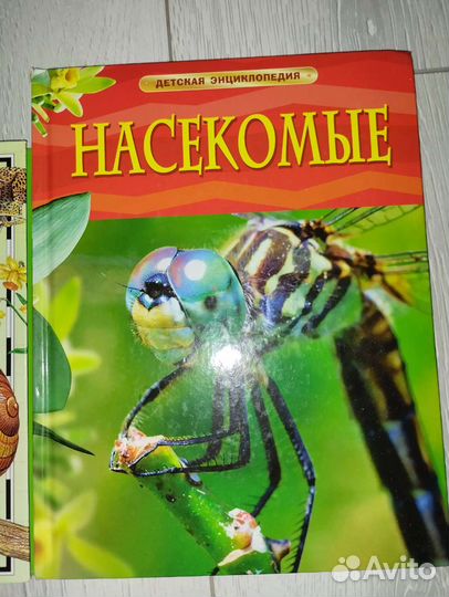 Детская энциклопедия