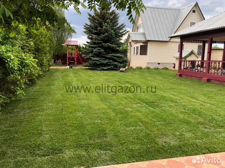 Рулонный газон напрямую от производителя