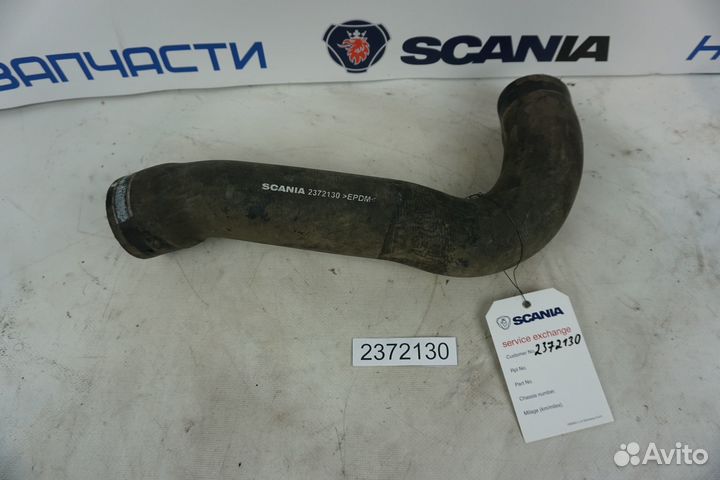 Шланг