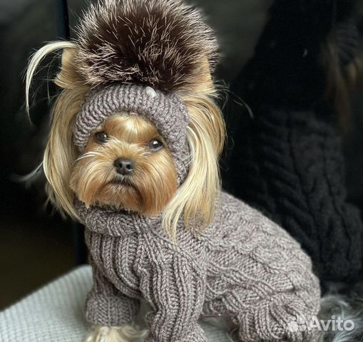 Комбинезон для собаки на заказ