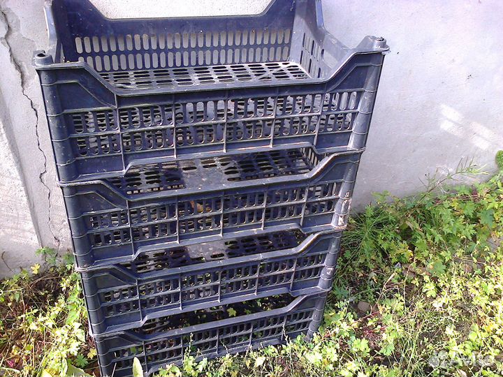 Пластиковые ящики бу