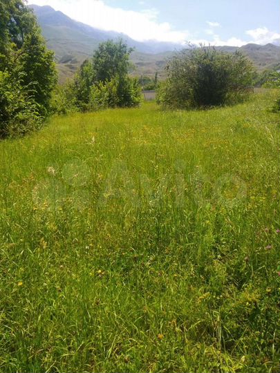 Участок 37 сот. (ИЖС)