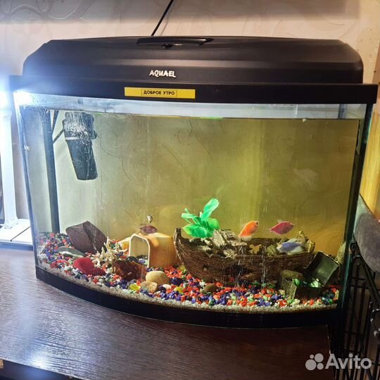 Аквариум