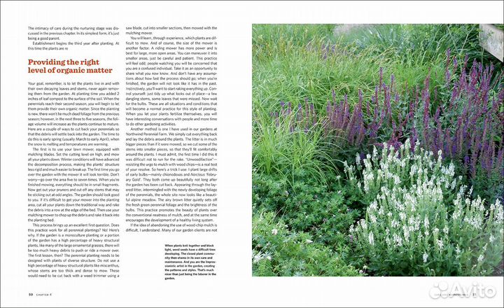 The Know Maintenance Perennial Garden