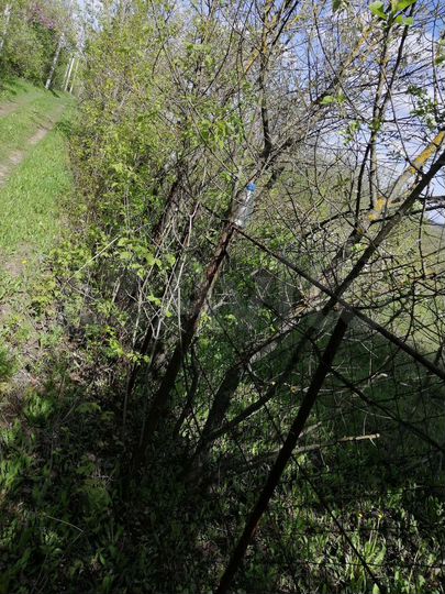 Дача 15 м² на участке 7 сот.