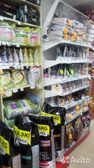 Pro Plan для собак и кошек с доставкой на дом