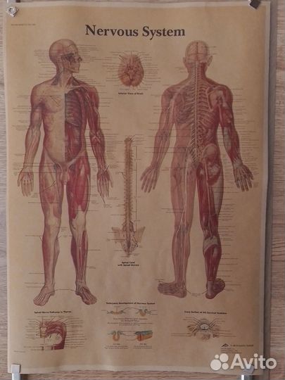 Плакаты/постеры