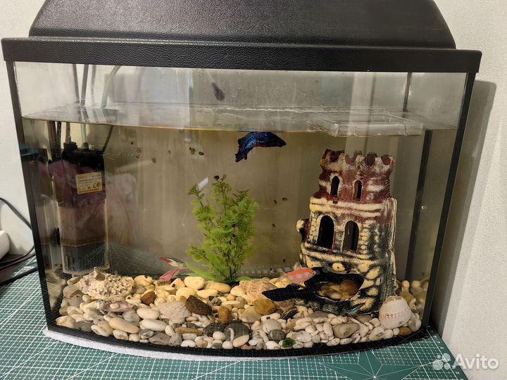 Аквариум с рыбками