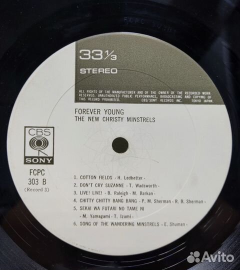 The New Christy Minstrels - Forever Young, 2 LP