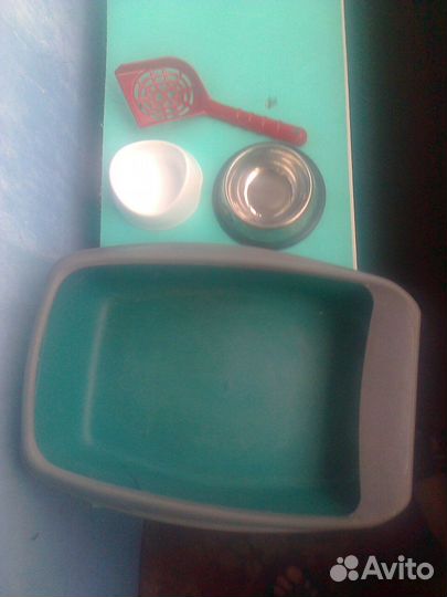 Кошачий набор