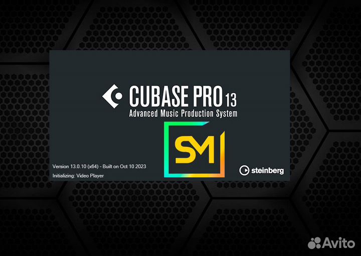 Cubase Pro, Artist, Elements 13 и обновления