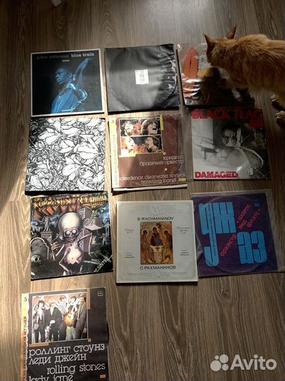 Виниловые пластинки