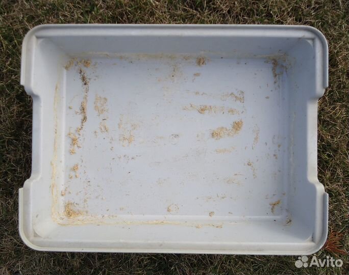 Поддон для рассады