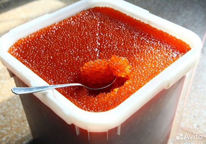 Оптом свежая красная икра кеты