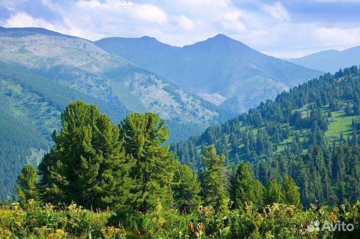 Групповые туры по Абхазии