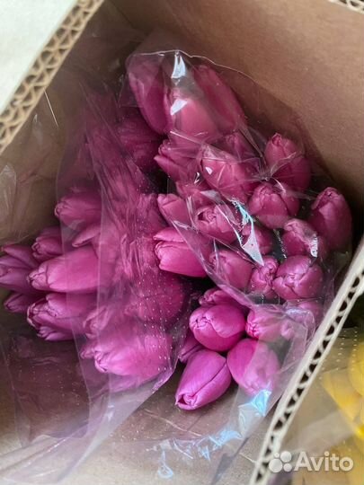 Тюльпаны на 8 марта с доставкой
